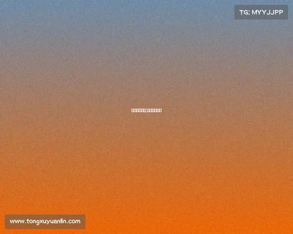 电子竞技金东;电子竞技金牌